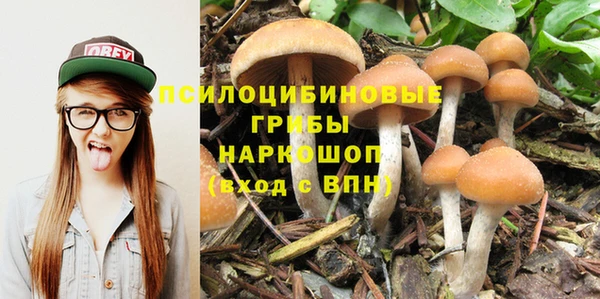 герыч Алзамай
