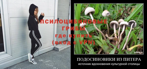 амф Алексин