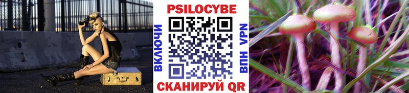 Псилоцибиновые грибы GOLDEN TEACHER  Бердск 